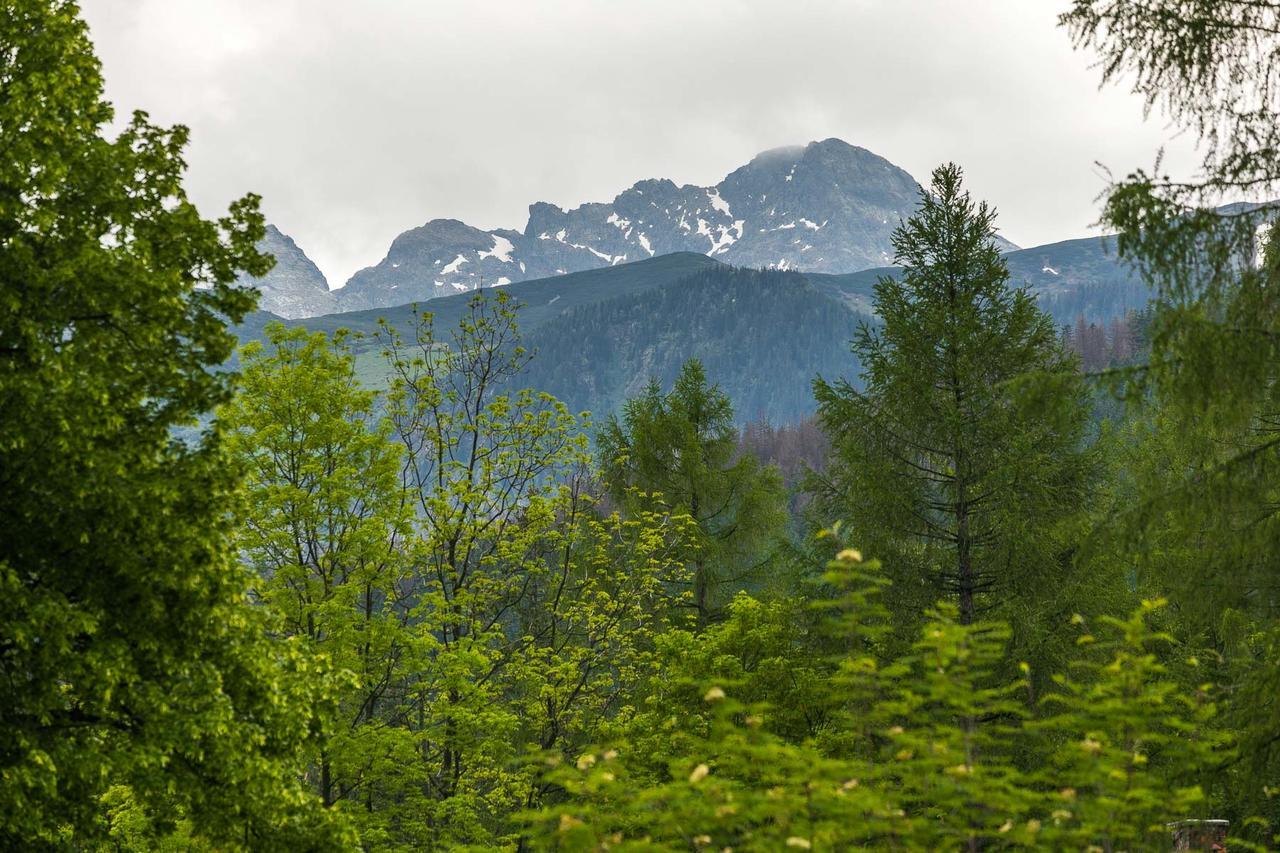 Rent Like Home - Bulwary III Zakopane Buitenkant foto